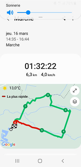 Screenshot_20230316-164835_Samsung Health.jpg