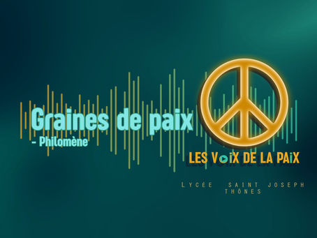 Interview de l'ONG Graines de Paix - Philomène