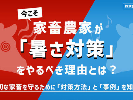 今こそ、家畜農家が「暑さ対策」をやるべき理由とは?大切な家畜を守るために「対策方法」と「事例」を知ろう