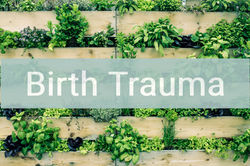 Urban Gardening_edited