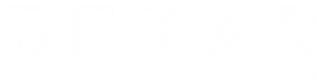 BMG Logo white_5x.png