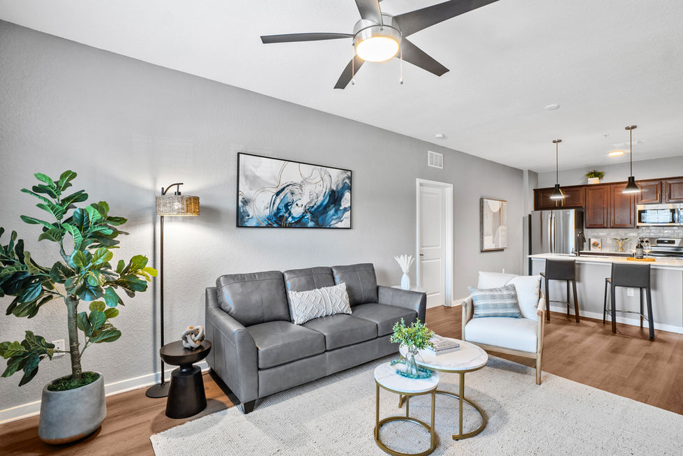 Living room and Kitchen space