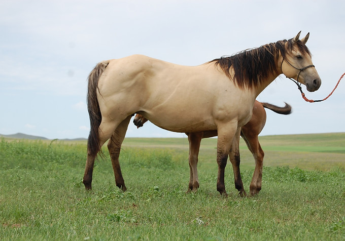 Justa (6)_edited.jpg