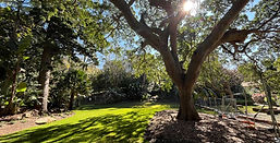 2025 July central lawn.JPG