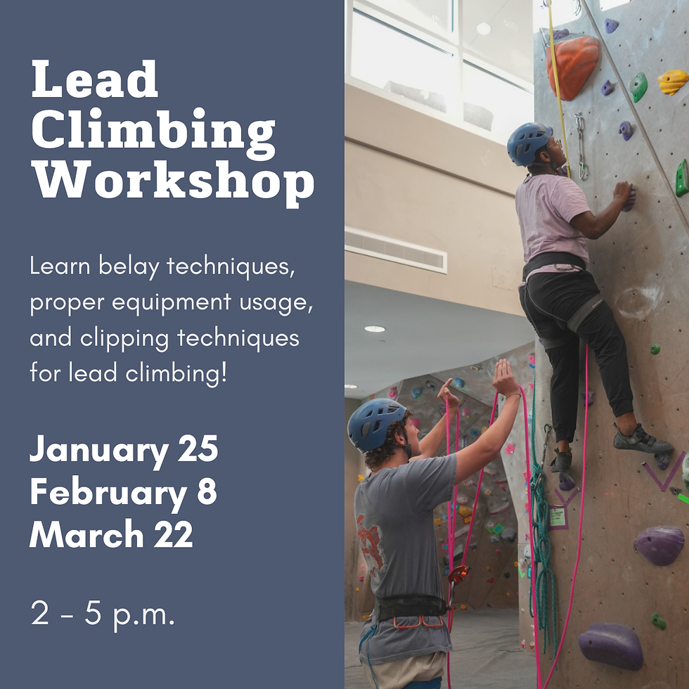 Lead Climbing Workshop