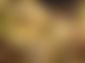 The Benefits of Sceletium Tortuosum for Natural Mood Support