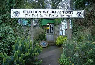 http://www.shaldonwildlifetrust.org.