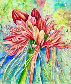 Unfurling Light