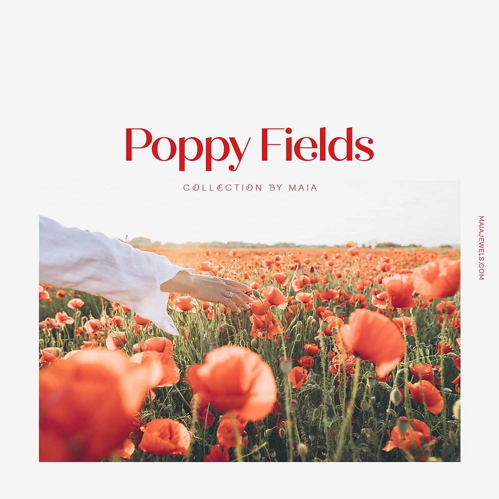 02.png
