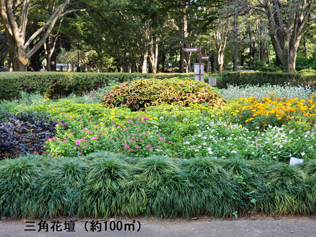 砧公園『花々の便り』№４が届きました！