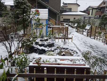 今日(2/11)から明日迄『GAクラブ発表会』です!是非見に来て下さい!