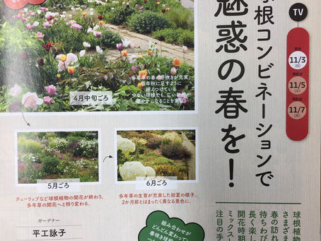 GA草花コース平工先生が趣味の園芸11月号に!