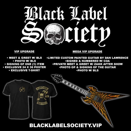 North American Chapter's 2019 VIP