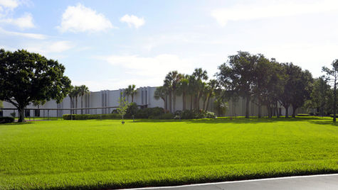 St Petersburg FL.jpeg