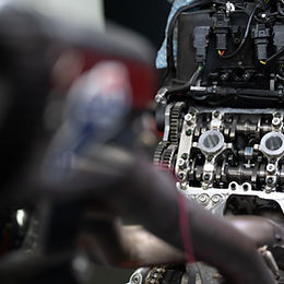 Spring Workshop Highlights 