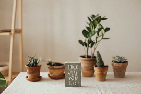 do what you love motivation image