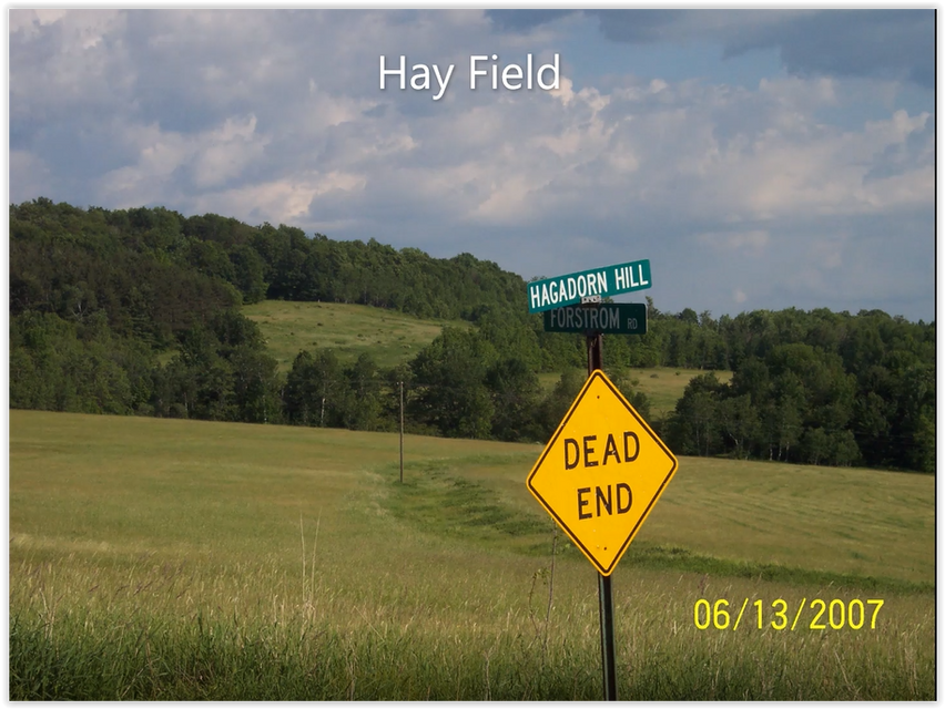 Hayfield
