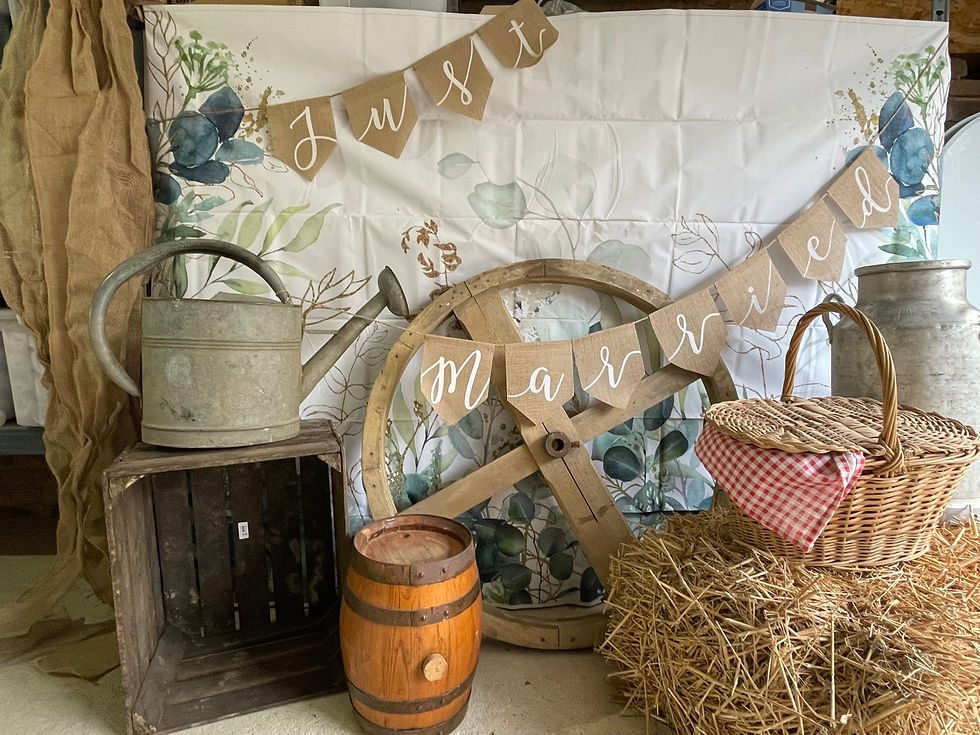 Miniature : Arrosoir en zinc
