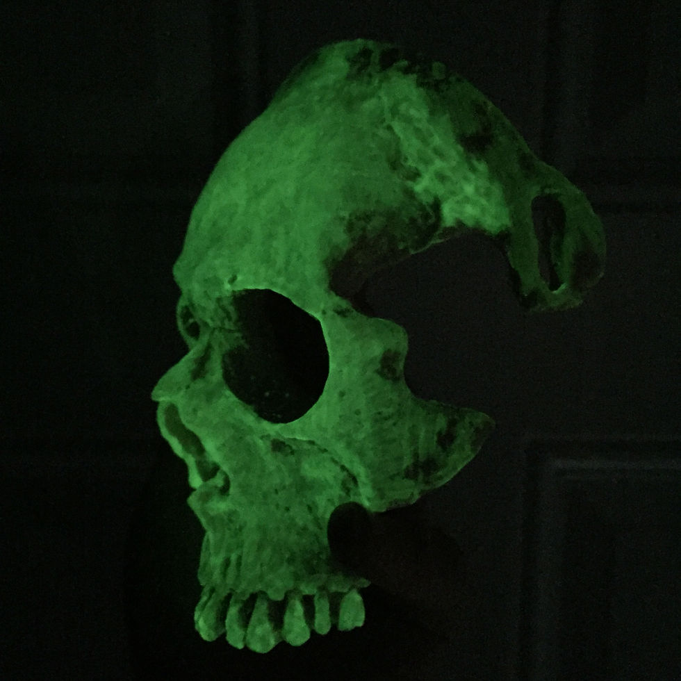 Thumbnail: Glow in The Dark Skull Mask