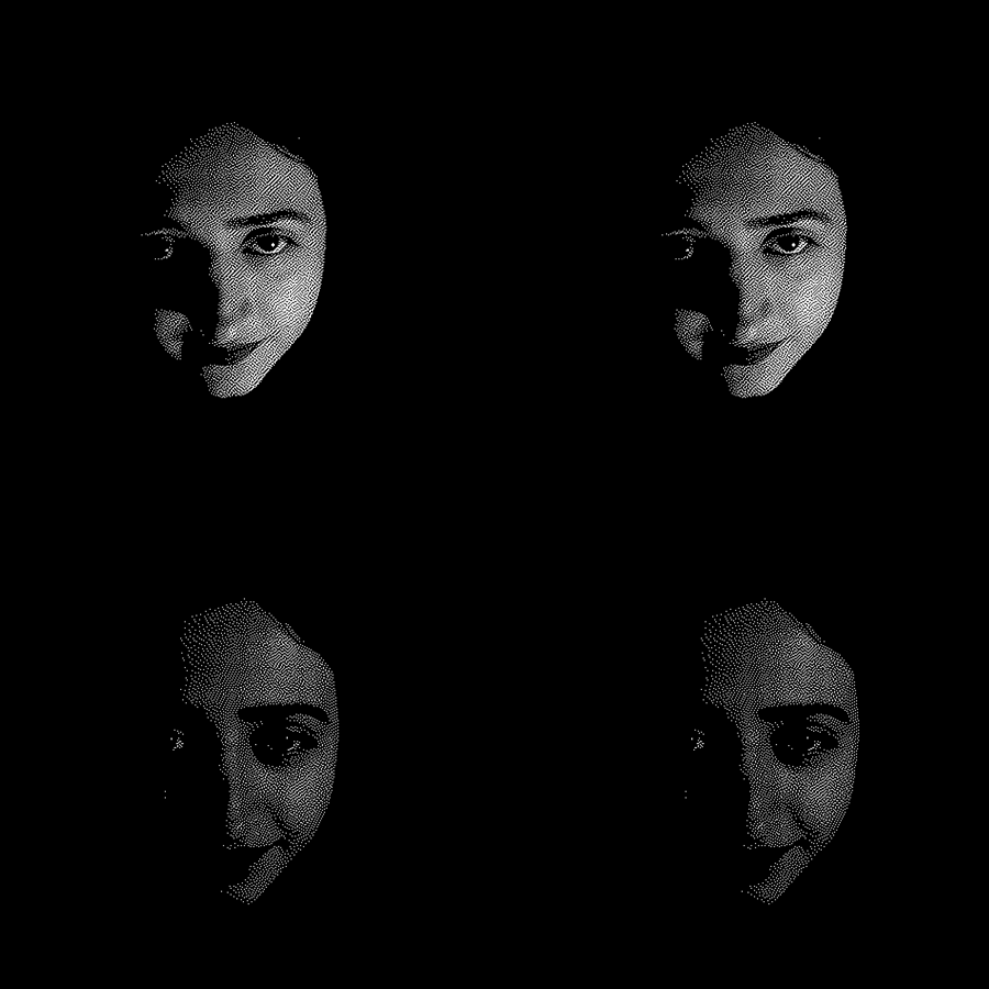 Mahsa-Animation-v2.gif