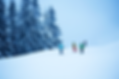 Group of Skier