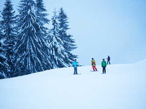 Skifahren
