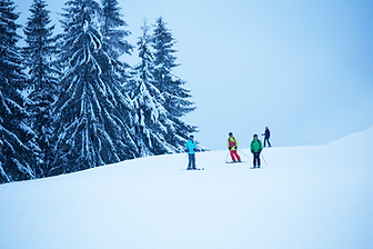 Group of Skier