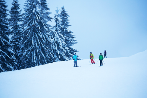 Group of Skier