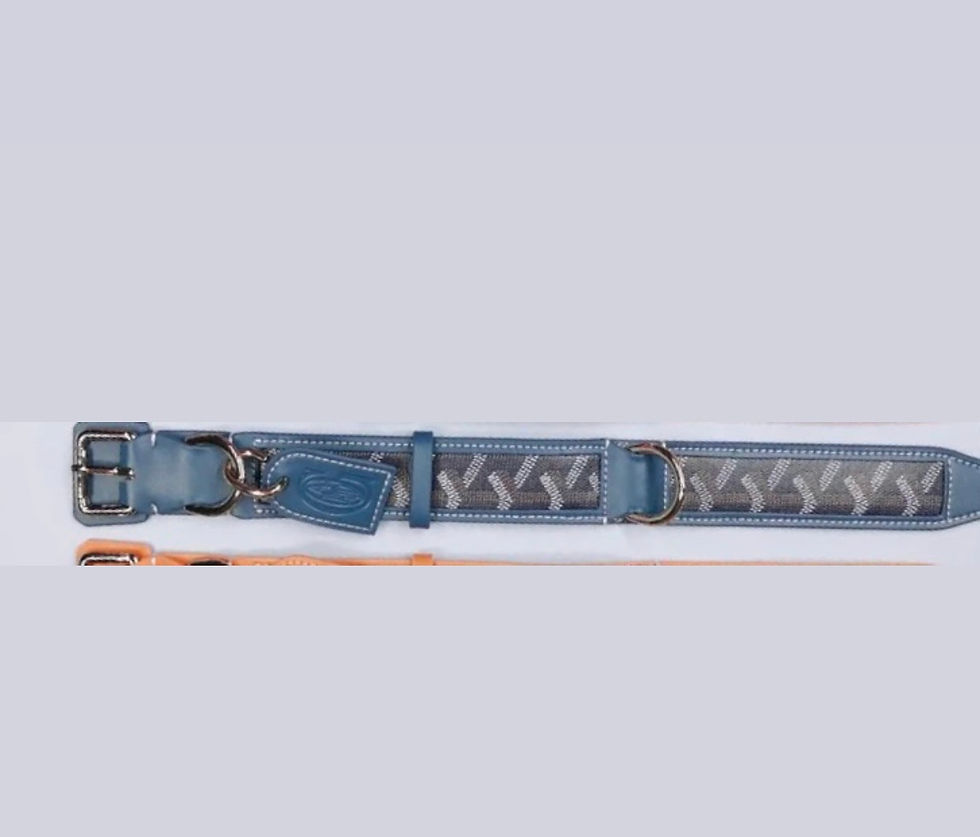 Thumbnail: Bow leather Collar 