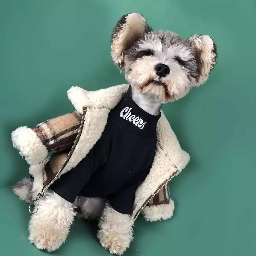 Thumbnail: City Pup Teddy Coat