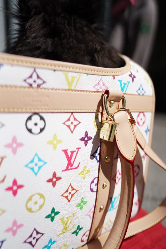 Thumbnail: Travel bag 