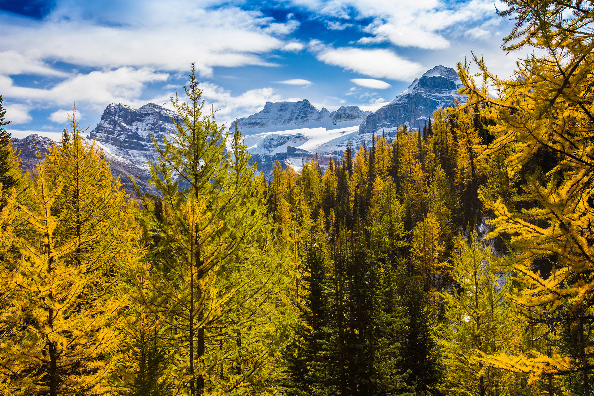 Larch Valley in Banff National Park