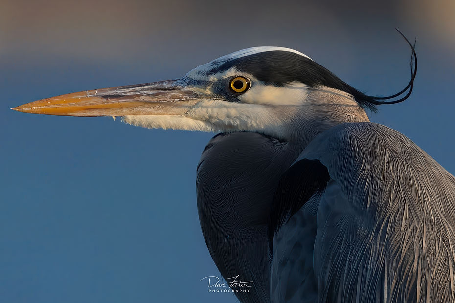 7S5A0983-Edit-3 (Custom).jpg