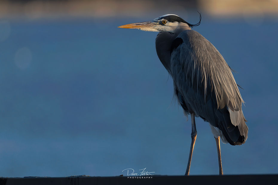 7S5A0983-Edit-2 (Custom).jpg