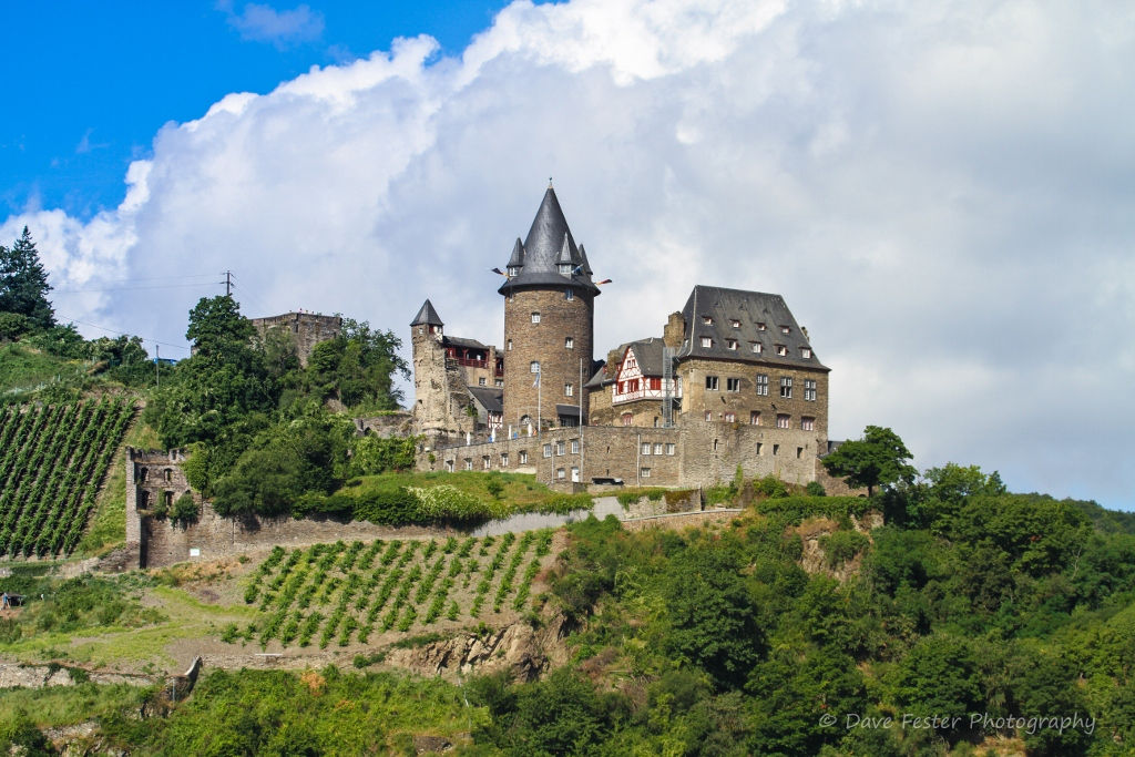 Standing Strong (CL-05)