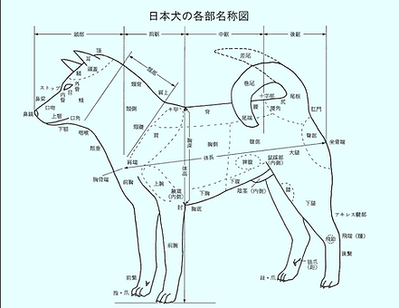 Screenshot 2024-11-15 at 8.38.03 PM.png