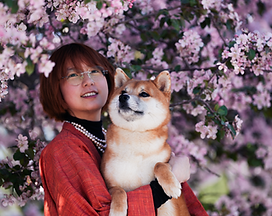 Screenshot 2025-12-13 at 5.02.09 PM.png