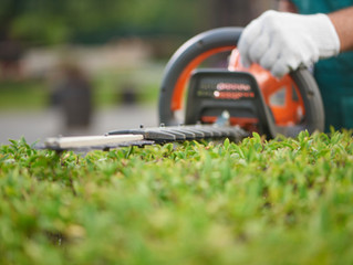 Homeowners: DIY Lawn Care or Landscaping Service?