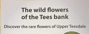 The wild flowers of the Tees Bank Guide