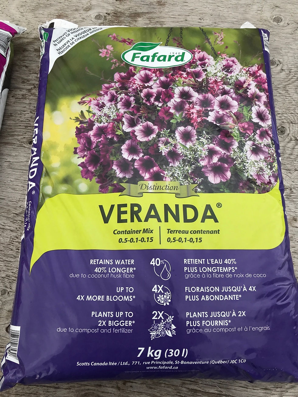 Miniature : Terre Fafard 