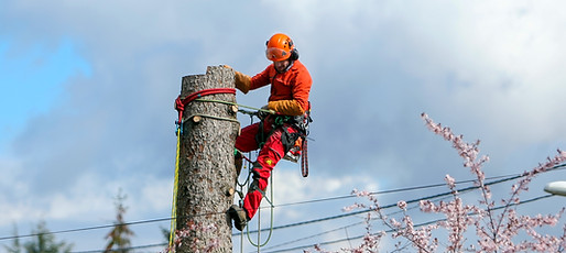 5388Philippe SIMON18-03-2019-©.jpg