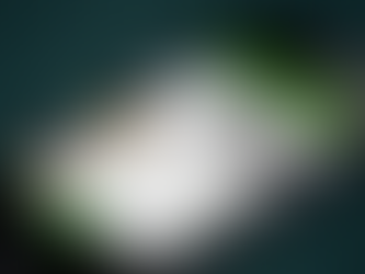 Cómo escuchar mensajes de voz de WhatsApp por el altavoz interno