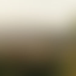 The BBC Visits The Tibico Fermentary For a Peek Behind The Scenes