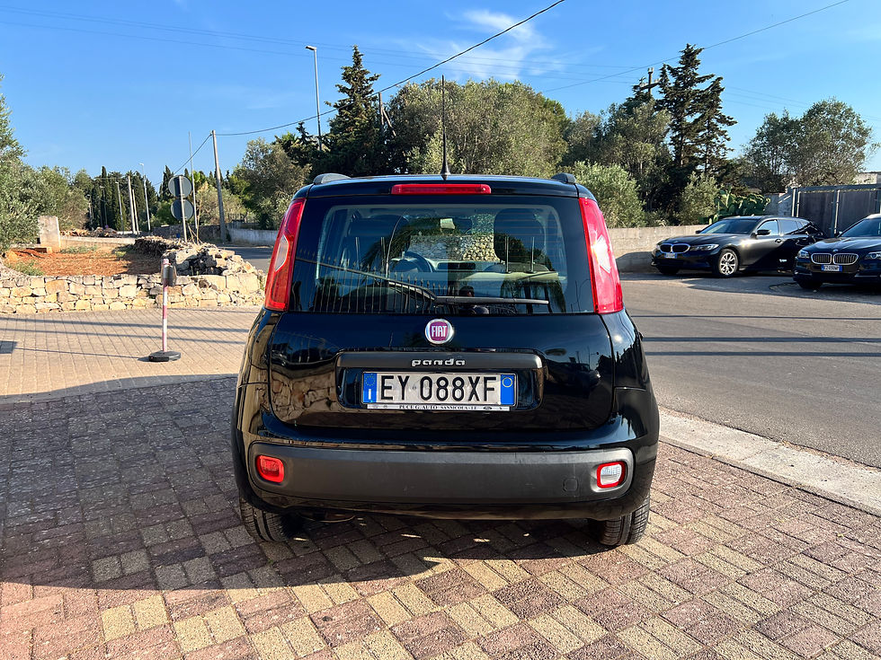 Miniatura: FIAT PANDA