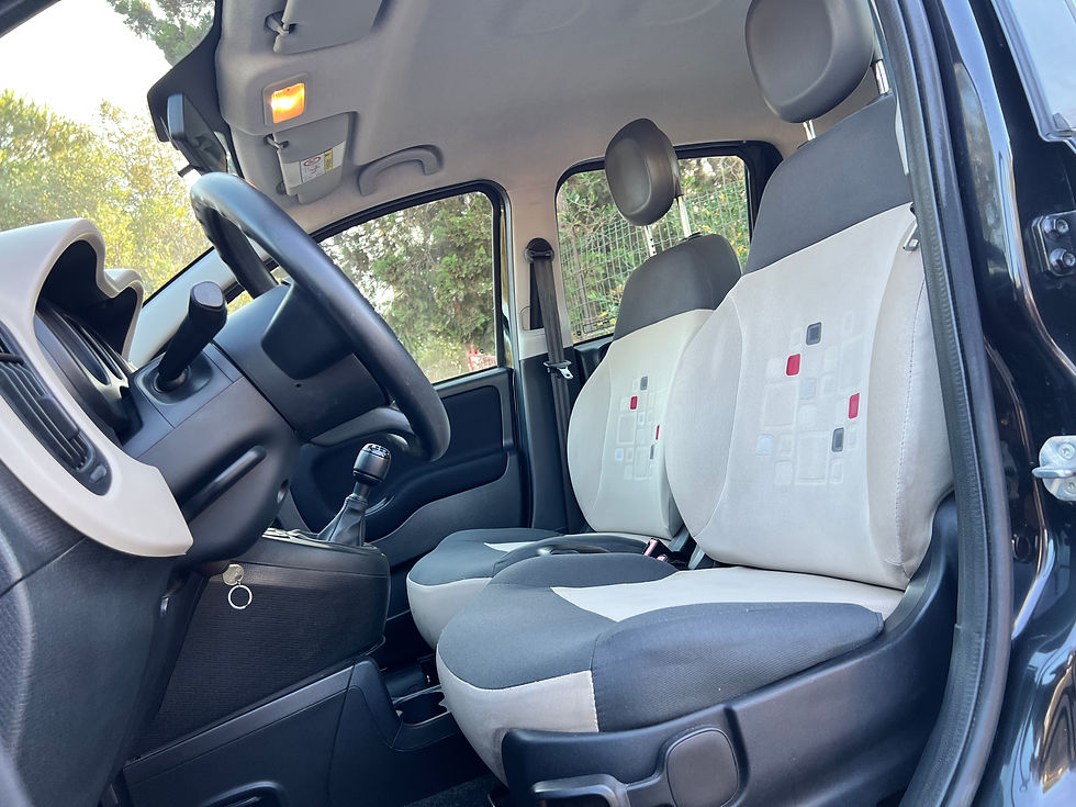Miniatura: FIAT PANDA