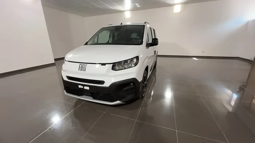 Miniatura: NEW FIAT DOBLO MIX N1