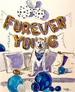 furever young - pet portrait