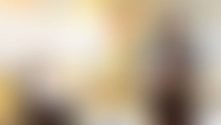 Understanding “A” and “B” Adjudicators in the EUSPBA