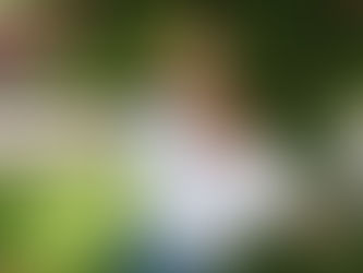 An Interview with Elizabeth!