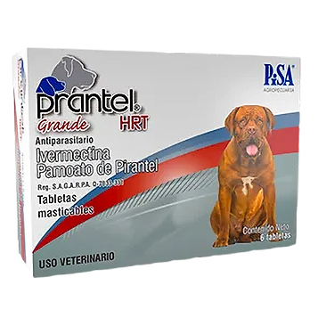 PRANTEL HRT GRANDE